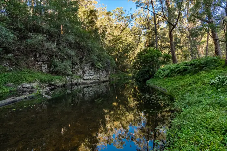 Fourth view of Homely rural property listing, 120 Lyrebird Ridge Road, Coolagolite NSW 2550