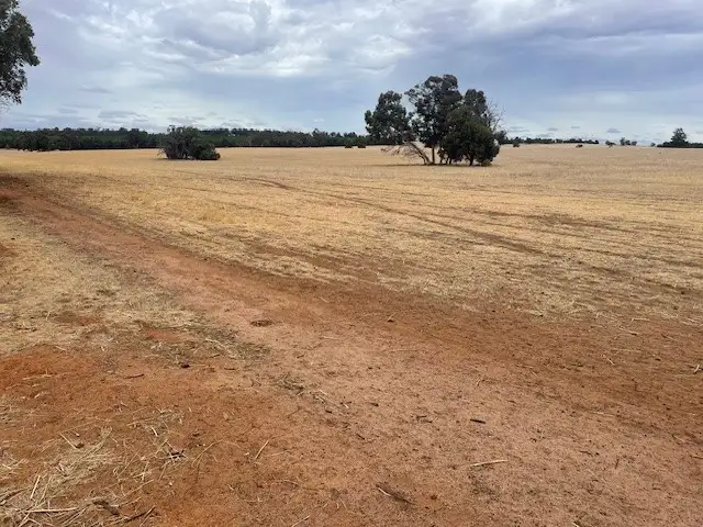 Main view of Homely rural property listing, Cherry Tree Pool Road, Kojonup WA 6395
