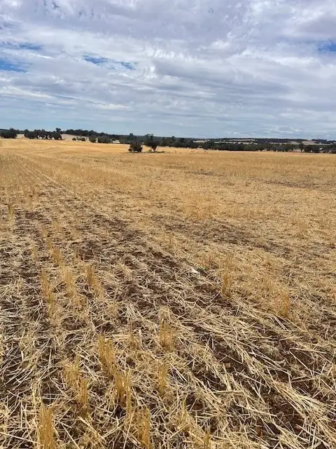 Second view of Homely rural property listing, Cherry Tree Pool Road, Kojonup WA 6395
