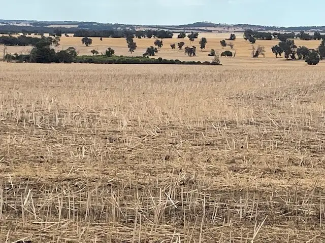 Third view of Homely rural property listing, Cherry Tree Pool Road, Kojonup WA 6395