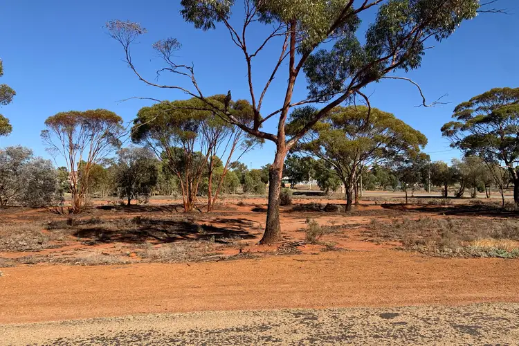 Fifth view of Homely land listing, 9 & 11 Polaris Street, Southern Cross WA 6426