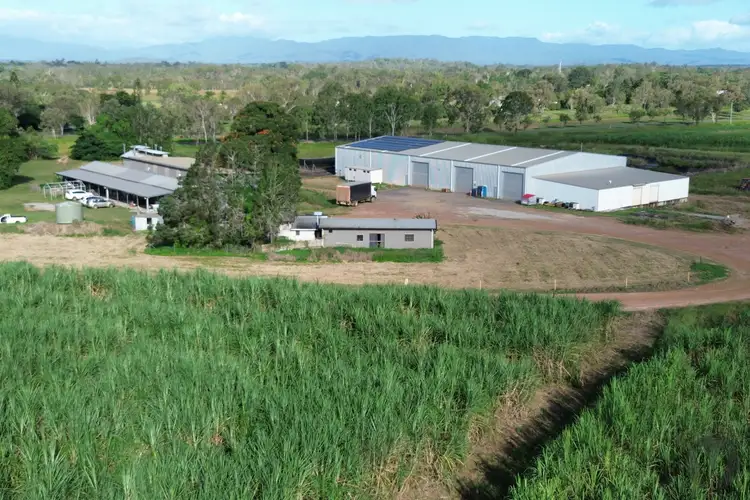 Mulligan Highway, Mareeba QLD 4880