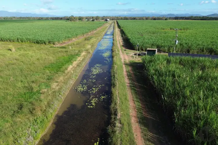 Seventh view of Homely rural property listing, Mulligan Highway, Mareeba QLD 4880
