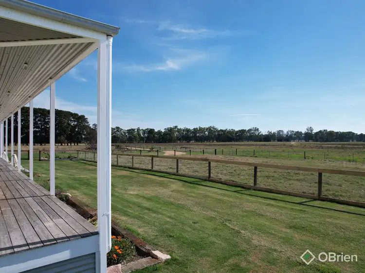Third view of Homely house listing, 800 Fernbank-Glenaladale Road, Fernbank VIC 3864