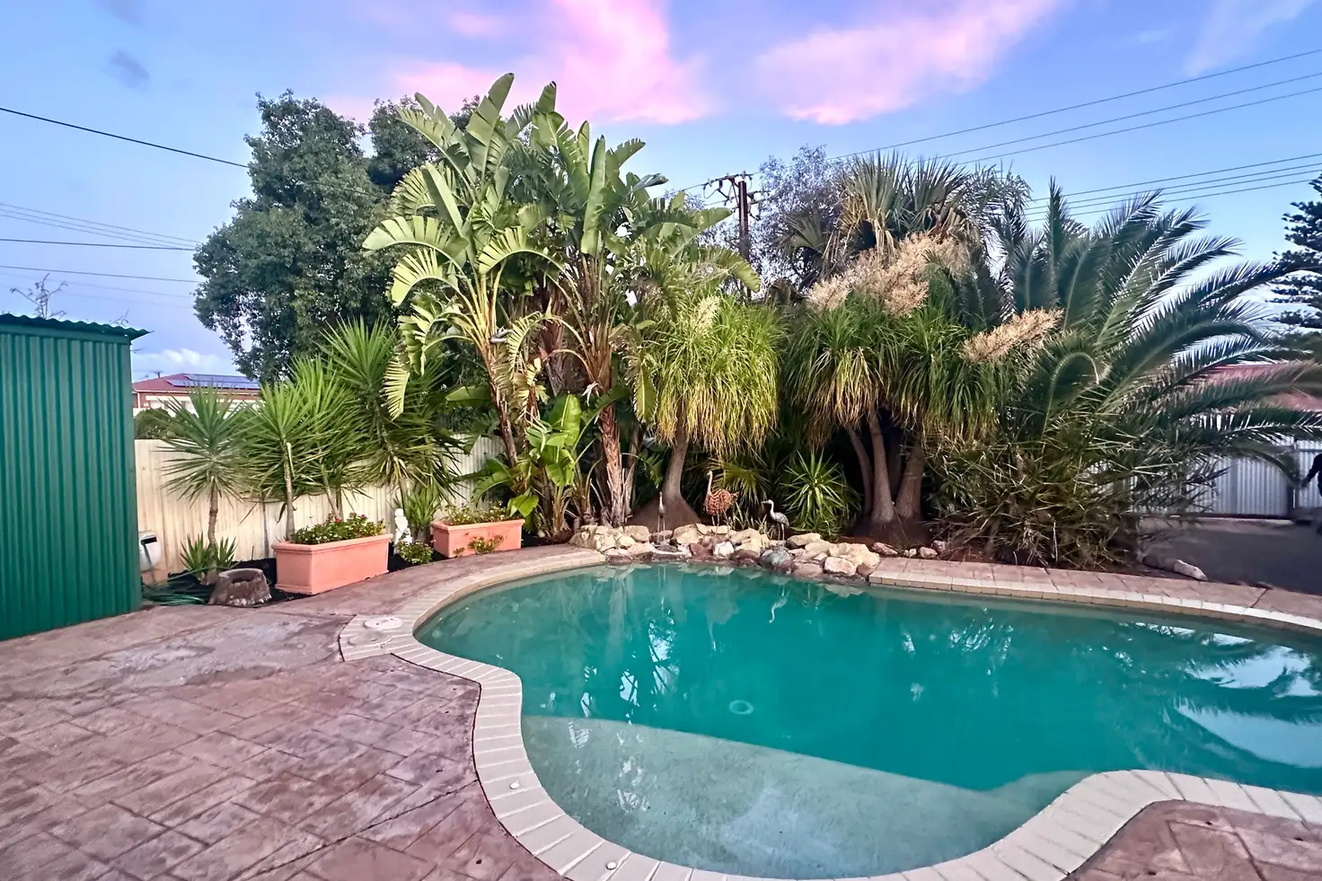 Main view of Homely house listing, 81 Farrell Street, Whyalla SA 5600