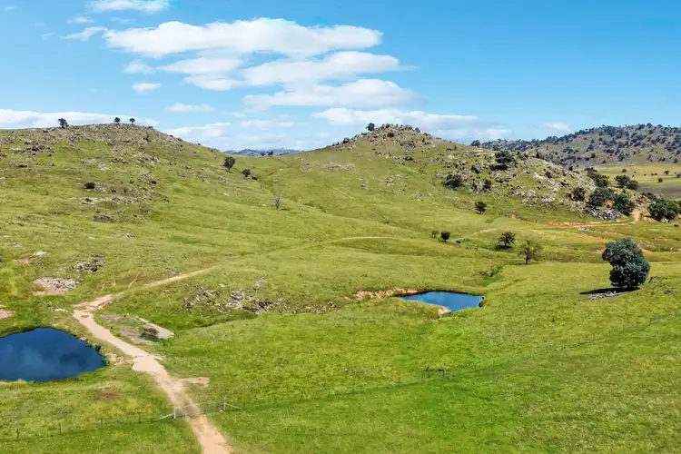 2552 Darbys Falls Road, Wyangala NSW 2808