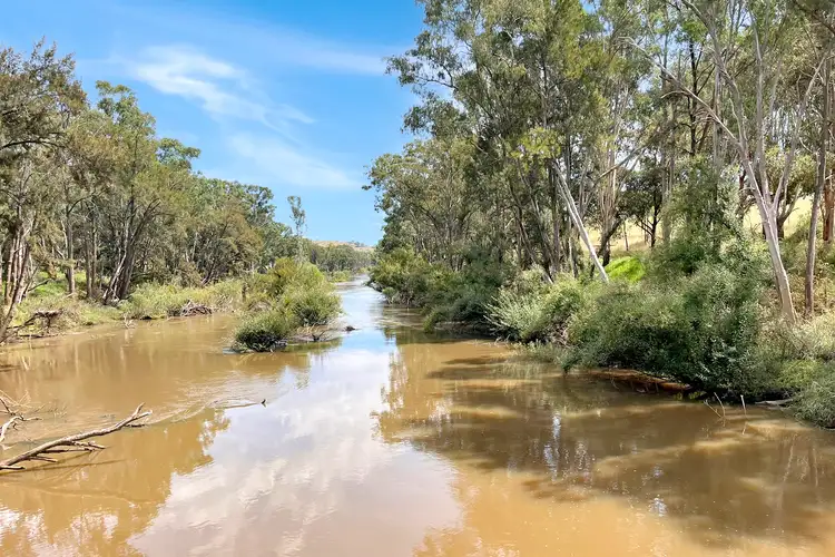 2552 Darbys Falls Road, Wyangala NSW 2808