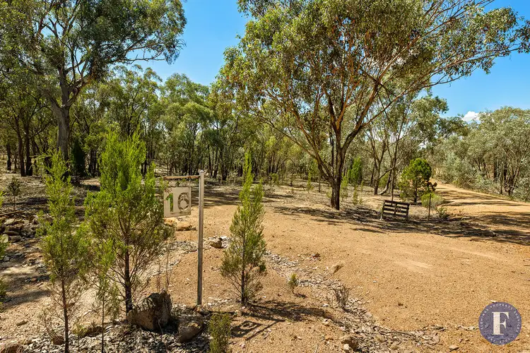 16 Caringa Road, Godfreys Creek NSW 2586