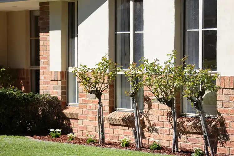 Second view of Homely house listing, 4/1 Biggera Street, Braemar NSW 2575