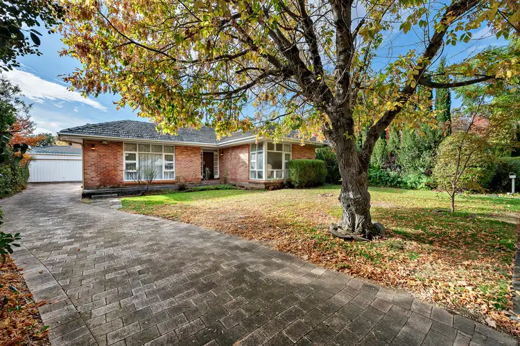 2A Holden Street, Kensington Park SA 5068