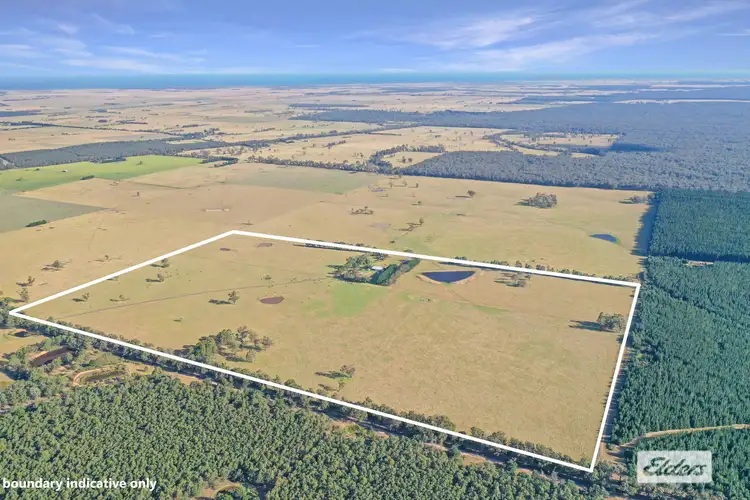 Third view of Homely rural property listing, 197 Frouds Road, Giffard West VIC 3851