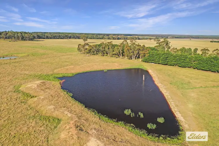 Fifth view of Homely rural property listing, 197 Frouds Road, Giffard West VIC 3851