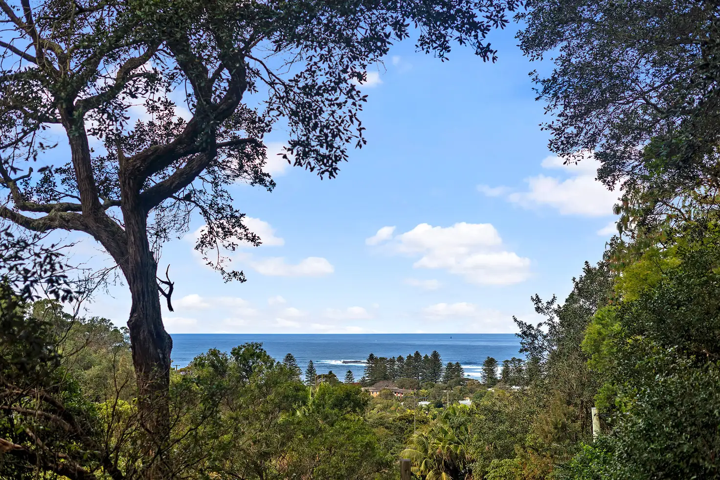 Main view of Homely house listing, 25 Sybil Street, Newport NSW 2106