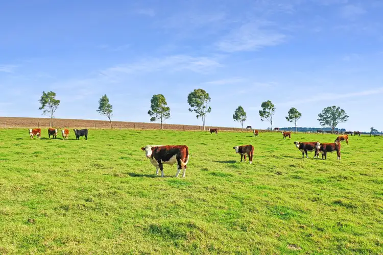 Fourth view of Homely rural property listing, 15 Johnston Court, Walpa VIC 3875