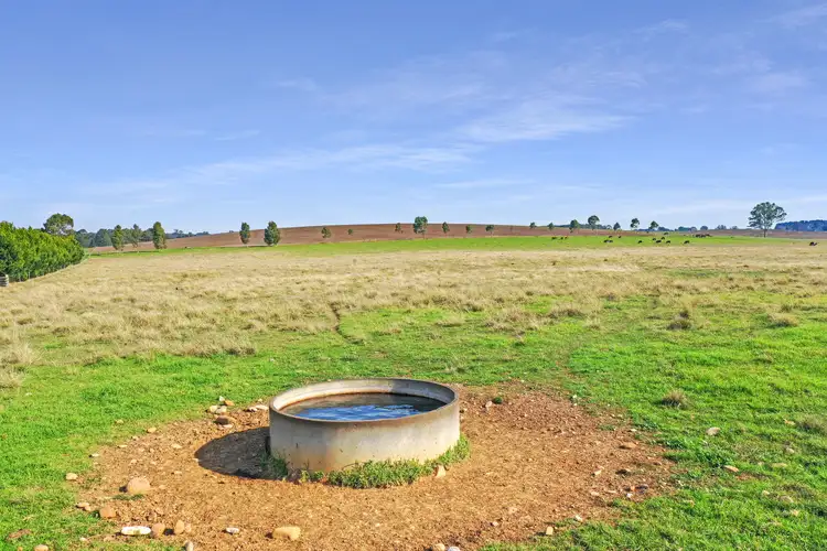 Fifth view of Homely rural property listing, 15 Johnston Court, Walpa VIC 3875
