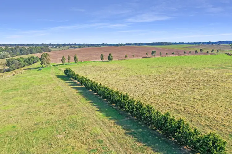 Sixth view of Homely rural property listing, 15 Johnston Court, Walpa VIC 3875