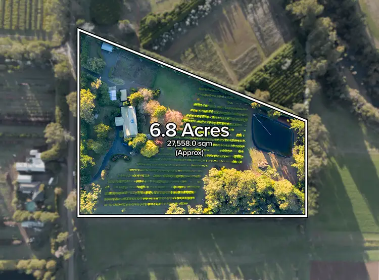 135 Graham Road, Wandin East VIC 3139