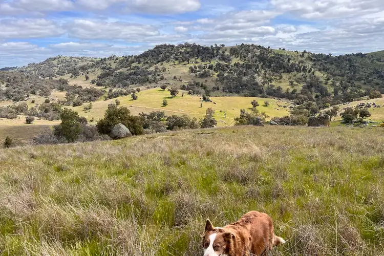 Main view of Homely rural property listing, Lot 3 Tarrants Gap Road, Wyangala NSW 2808