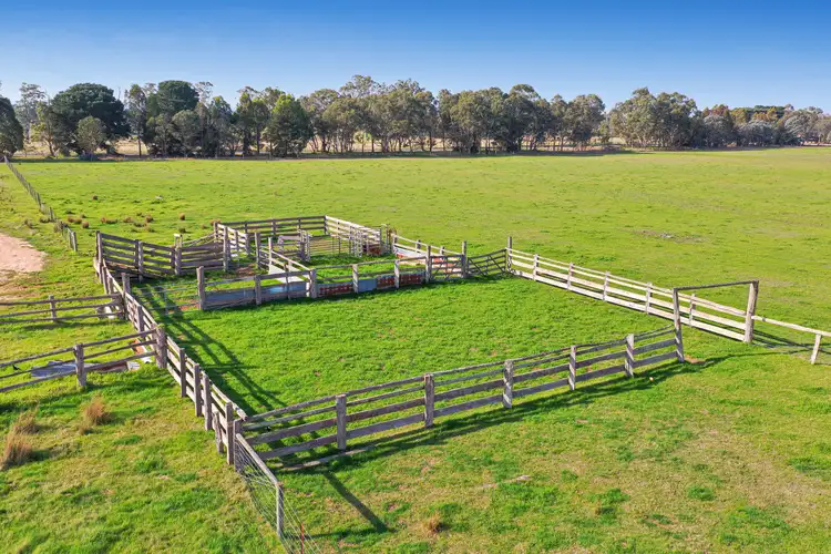 Third view of Homely rural property listing, 215 Bairnsdale-Dargo Road, Hillside VIC 3875