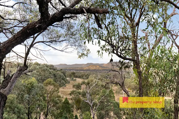 306 Port Macquarie Road, Rylstone NSW 2849
