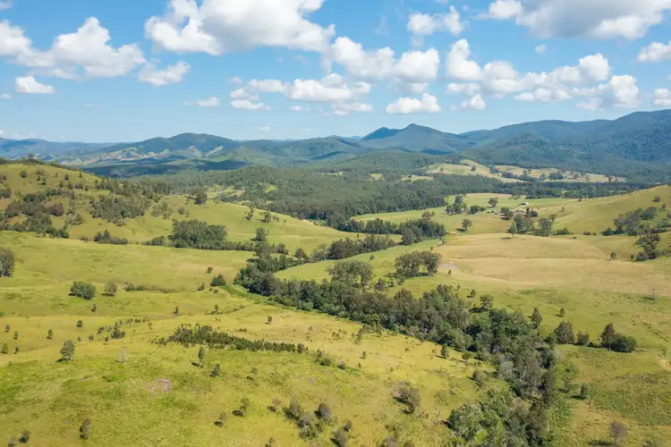 1331 Forbes River Road, Forbes River NSW 2446