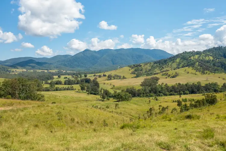 Second view of Homely rural property listing, 1331 Forbes River Road, Forbes River NSW 2446