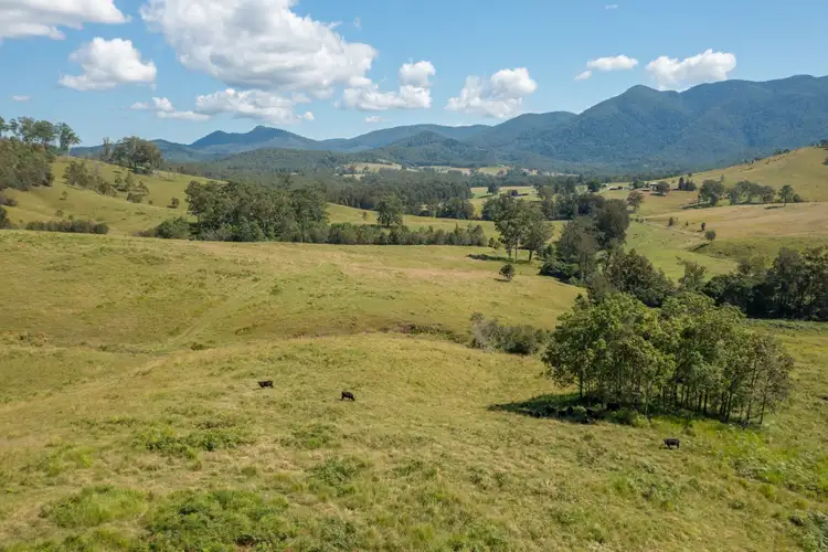 Fourth view of Homely rural property listing, 1331 Forbes River Road, Forbes River NSW 2446
