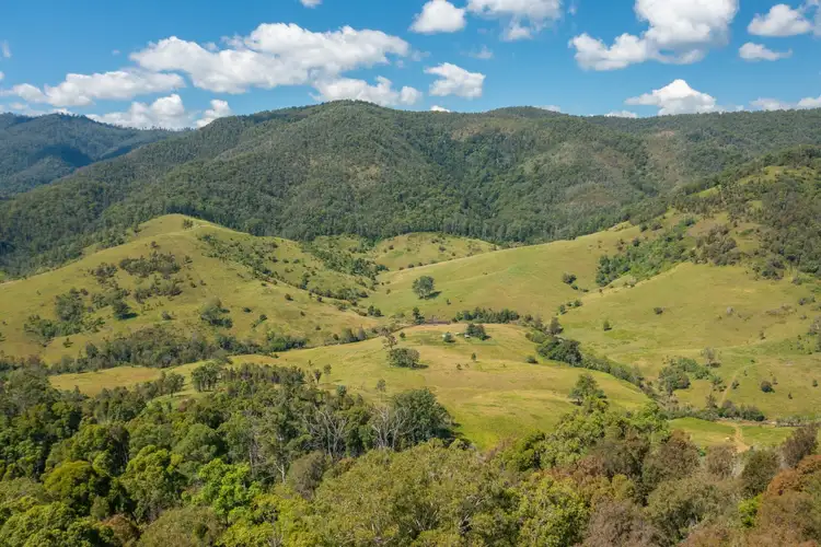 Sixth view of Homely rural property listing, 1331 Forbes River Road, Forbes River NSW 2446