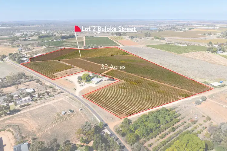 Main view of Homely rural property listing, Lot 2, 208 Buloke Street, Red Cliffs VIC 3496