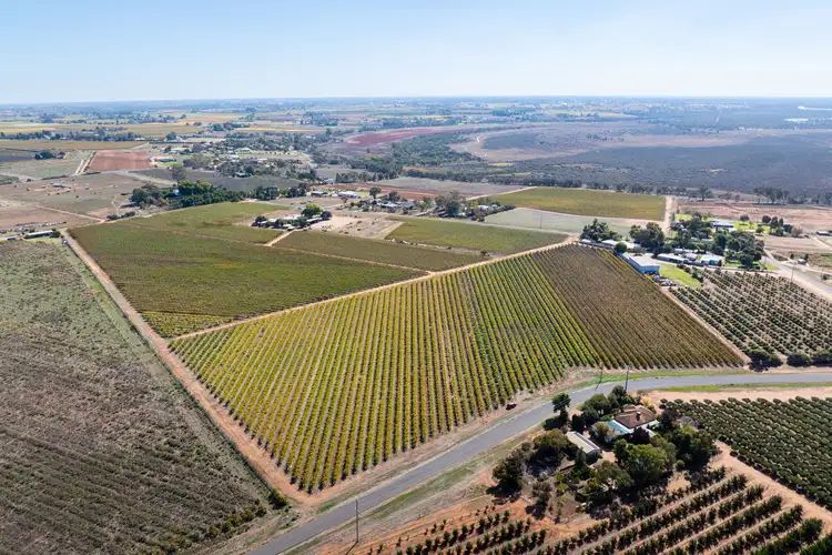 Second view of Homely rural property listing, Lot 2, 208 Buloke Street, Red Cliffs VIC 3496