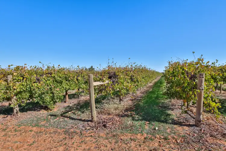 Fourth view of Homely rural property listing, Lot 2, 208 Buloke Street, Red Cliffs VIC 3496