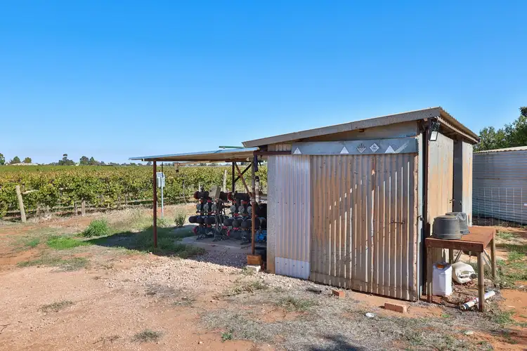 Fifth view of Homely rural property listing, Lot 2, 208 Buloke Street, Red Cliffs VIC 3496