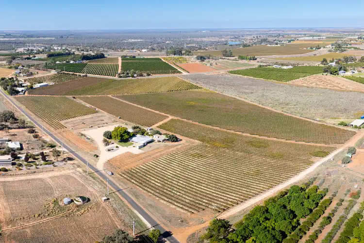 Seventh view of Homely rural property listing, Lot 2, 208 Buloke Street, Red Cliffs VIC 3496
