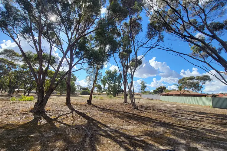 LOT 307 Katanning-Nyabing Road, Katanning WA 6317