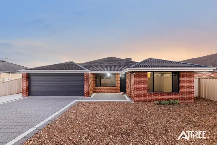 Fifth view of Homely house listing, 19 Brolga Grove, Seville Grove WA 6112