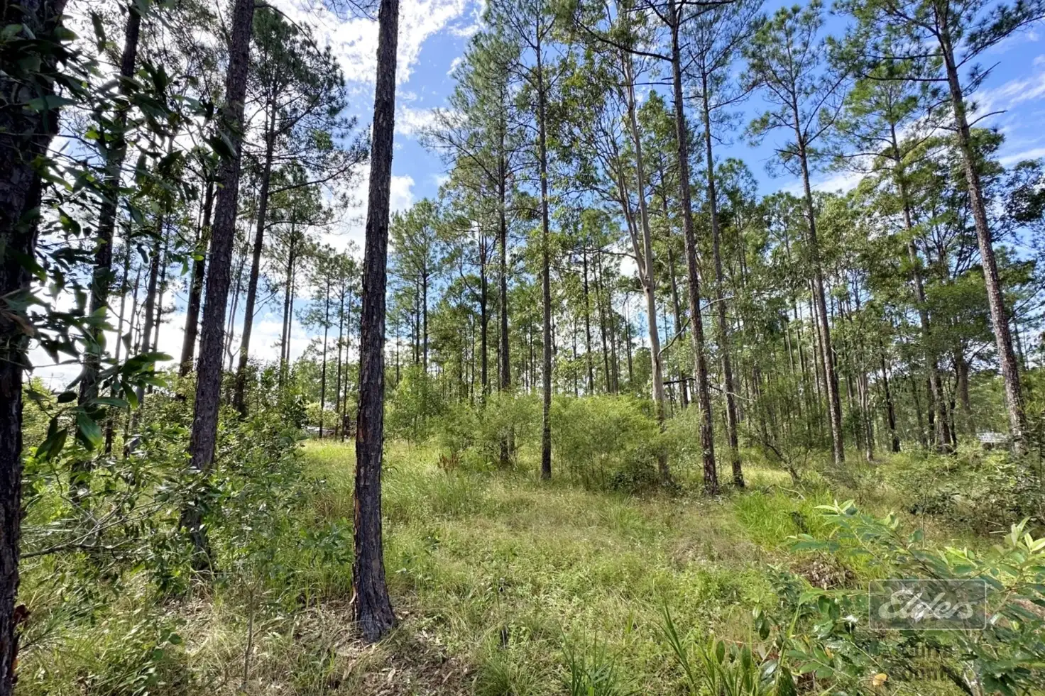 Main view of Homely land listing, Lot 270 Arborfive Road, Glenwood QLD 4570