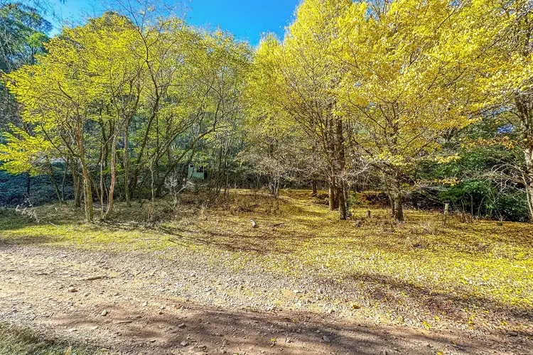 Fifth view of Homely rural property listing, CA1/SEC 5 Buckland River Track, Buckland VIC 3740