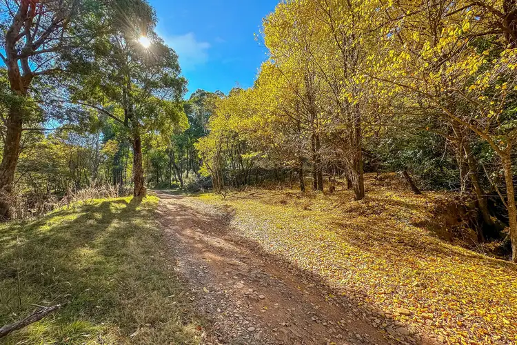 Sixth view of Homely rural property listing, CA1/SEC 5 Buckland River Track, Buckland VIC 3740