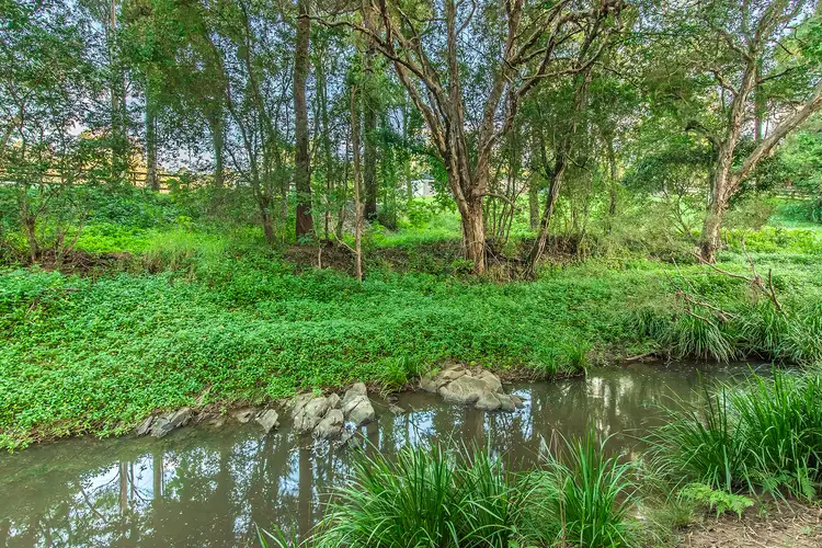 Sixth view of Homely house listing, 41 Crane Crescent, Nerang QLD 4211