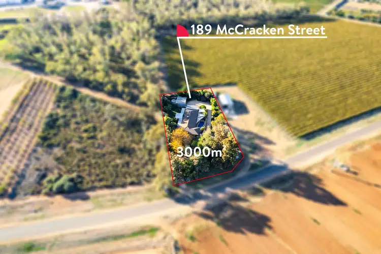 Main view of Homely rural property listing, 189 McCracken Street, Irymple VIC 3498