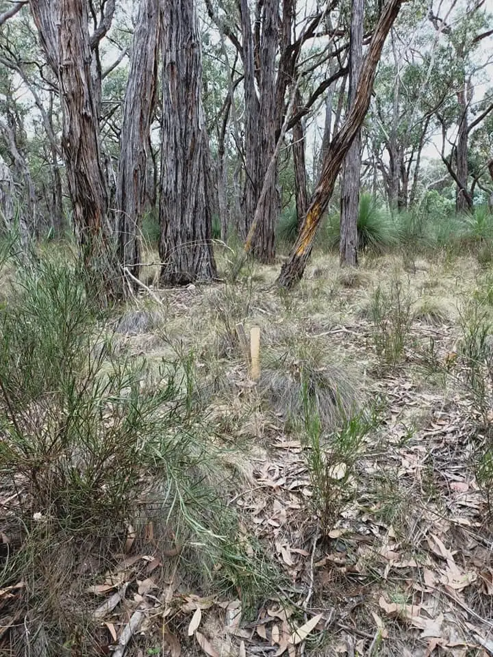 Third view of Homely land listing, LOT 89 Prince Alfred Street, Riddells Creek VIC 3431
