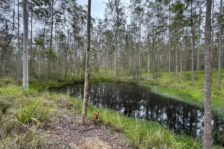 178 Link Road, Yarravel NSW 2440