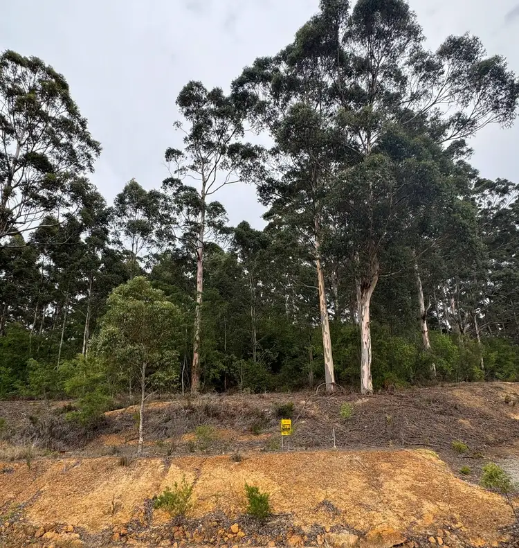 Fifth view of Homely land listing, 26 Mill Place, Shadforth WA 6333