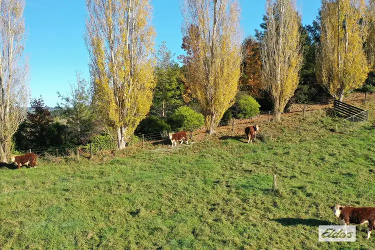 Fourth view of Homely house listing, 36 Buttners Saddle Road, Carrajung Lower VIC 3844