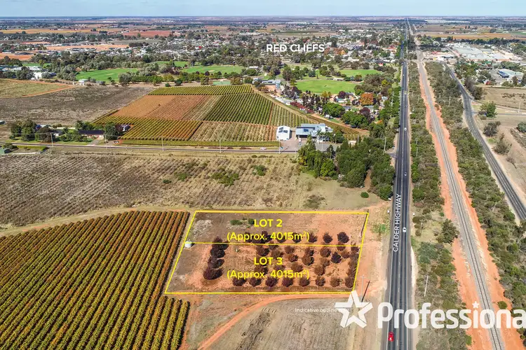 Second view of Homely rural property listing, LOT 2 & 3 Calder Highway, Red Cliffs VIC 3496
