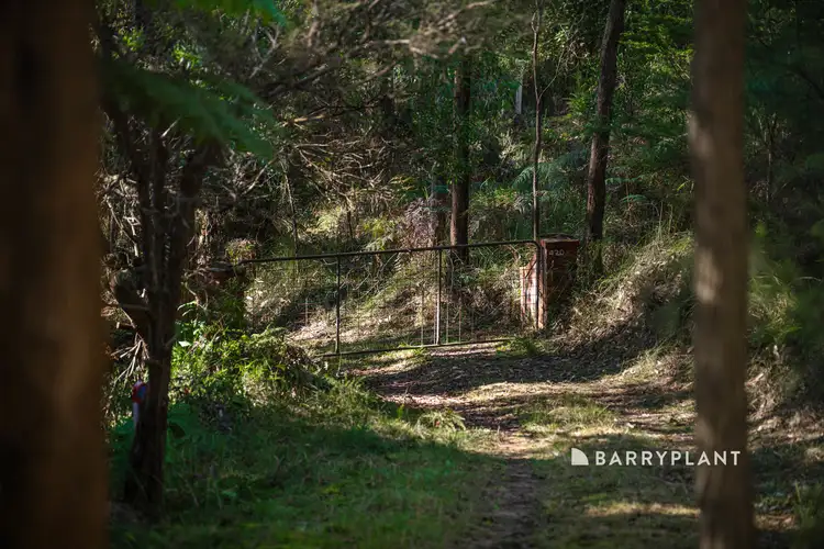 Main view of Homely house listing, 420 Mount Eirene Road, Gembrook VIC 3783