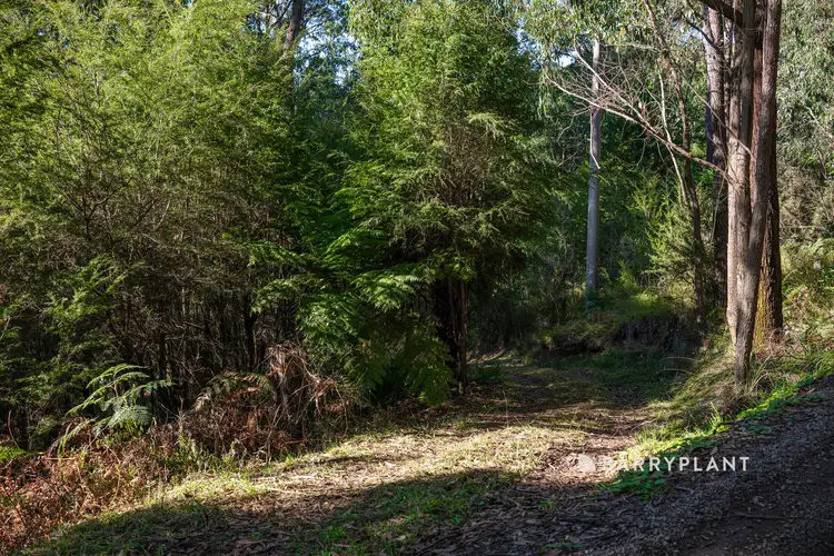 Second view of Homely house listing, 420 Mount Eirene Road, Gembrook VIC 3783
