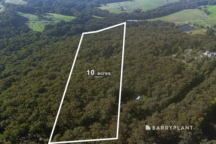 Fourth view of Homely house listing, 420 Mount Eirene Road, Gembrook VIC 3783