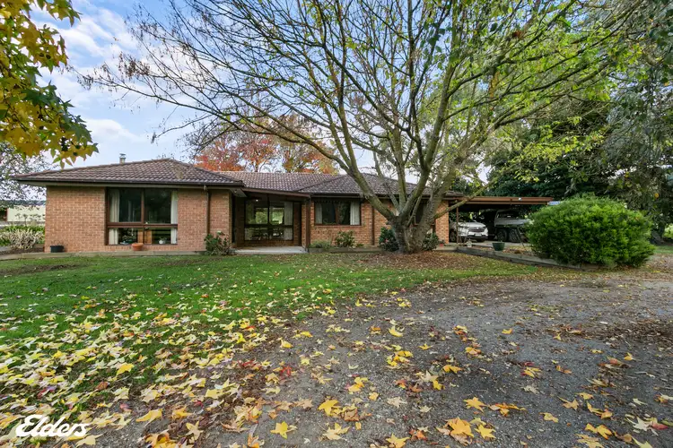 Second view of Homely rural property listing, 83 Greigs Creek Road, Won Wron VIC 3971