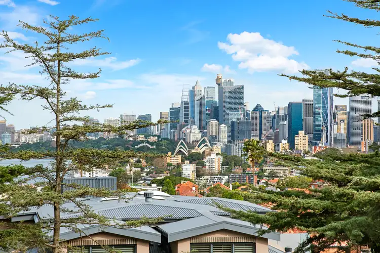 13/20 Harrison Street